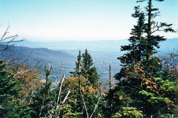 Views from the skylift